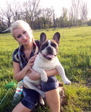 Dog Photo
