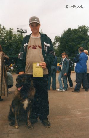 Dog Photo
