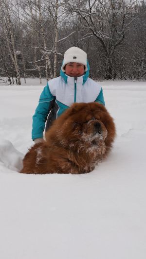 Dog Photo