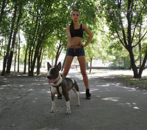 Dog Photo