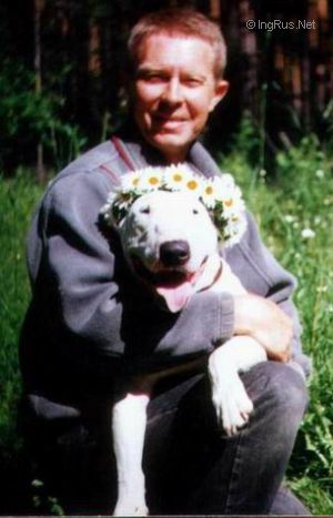 Dog Photo