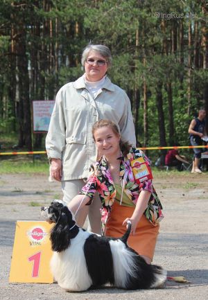 Dog Photo