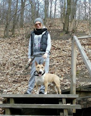 Dog Photo