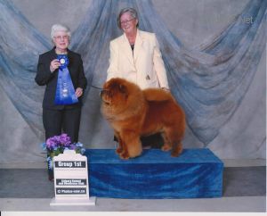 Dog Photo
