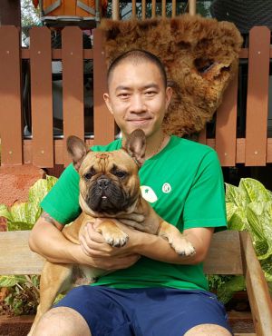 Dog Photo
