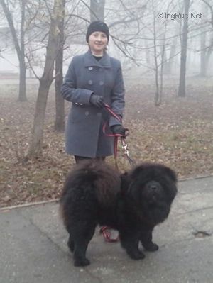 Dog Photo