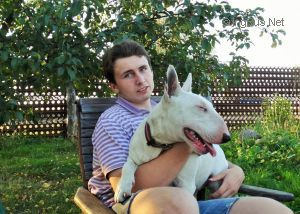 Dog Photo