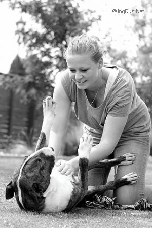 Dog Photo