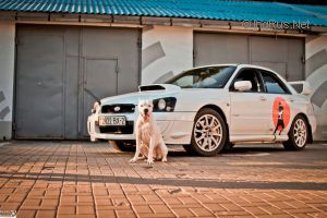 Dog Photo