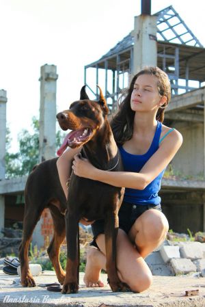 Dog Photo