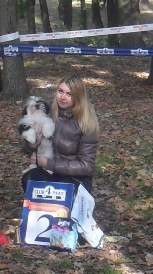 Dog Photo