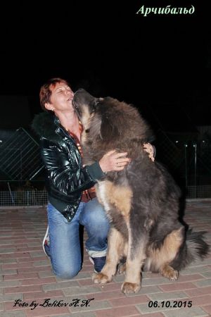 Dog Photo