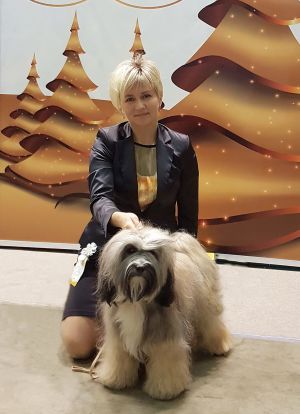 Dog Photo