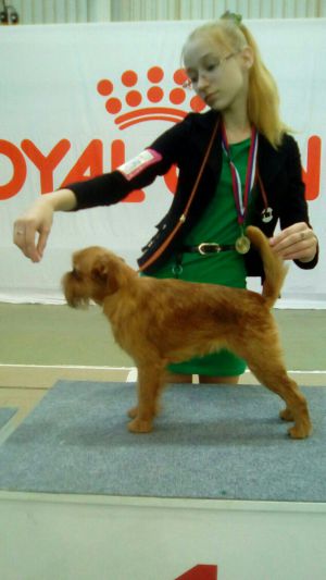 Dog Photo