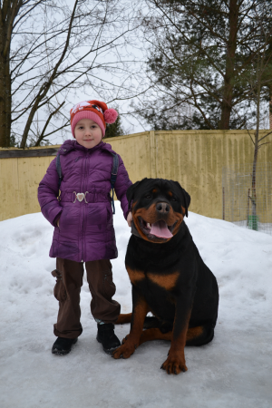 Dog Photo