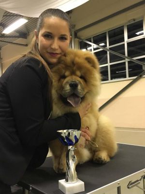 Dog Photo