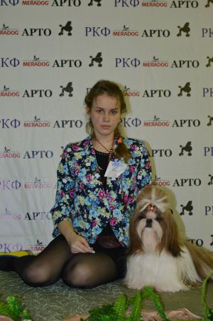 Dog Photo