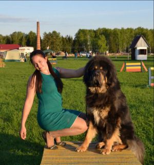 Dog Photo
