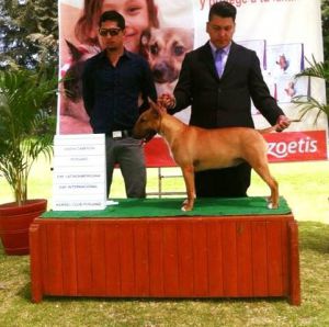 DE CHAUDRON ORME KIMBERLY