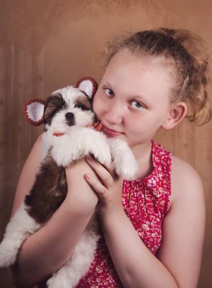 Dog Photo