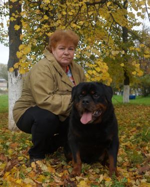 Dog Photo