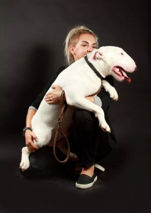 Dog Photo