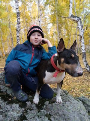 Dog Photo