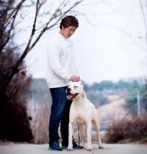 Dog Photo
