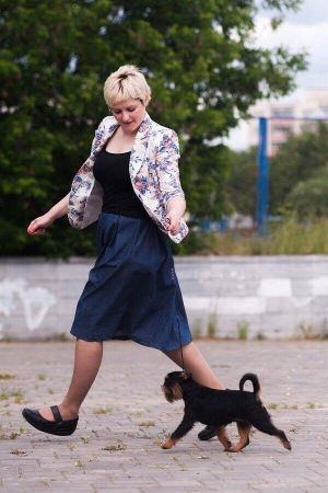 Dog Photo