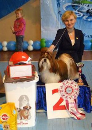 Dog Photo