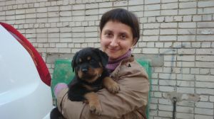 Dog Photo