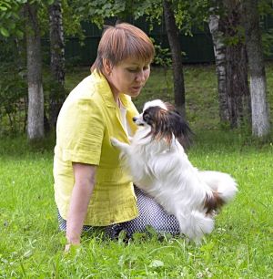 Dog Photo