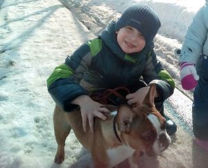 Dog Photo