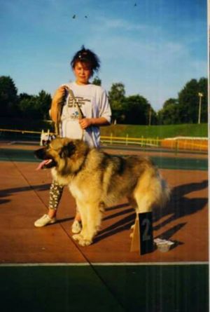 Dog Photo