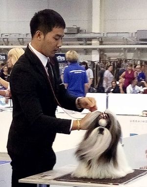 Dog Photo