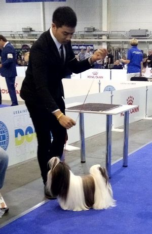Dog Photo