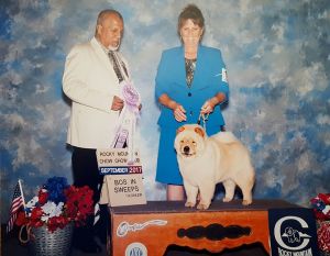 Dog Photo