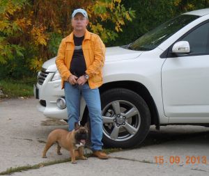Dog Photo