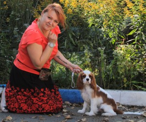 Dog Photo