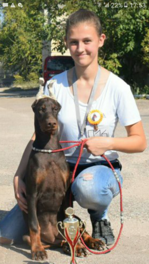 Dog Photo