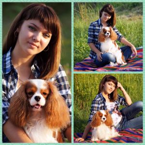 Dog Photo