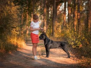 Dog Photo