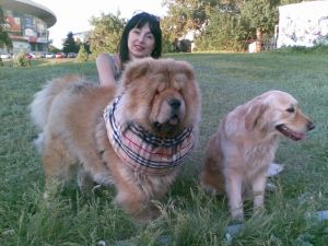 Dog Photo