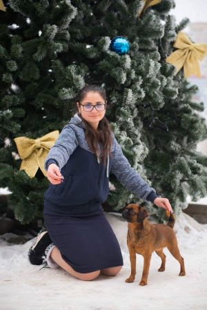 Dog Photo