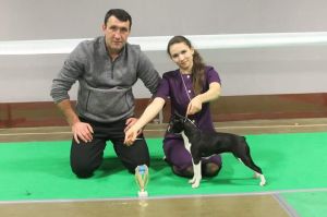 Dog Photo