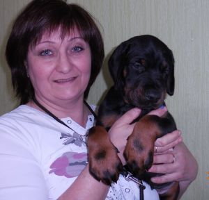 Dog Photo