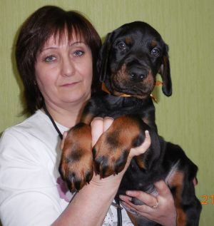 Dog Photo