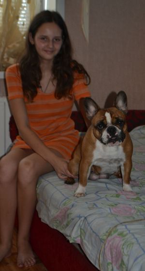 Dog Photo