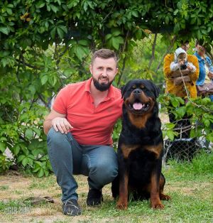 Dog Photo