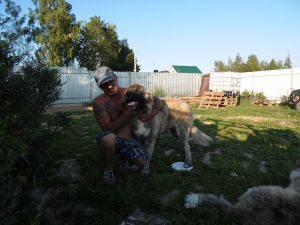 Dog Photo
